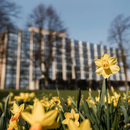 Sheraton Essen